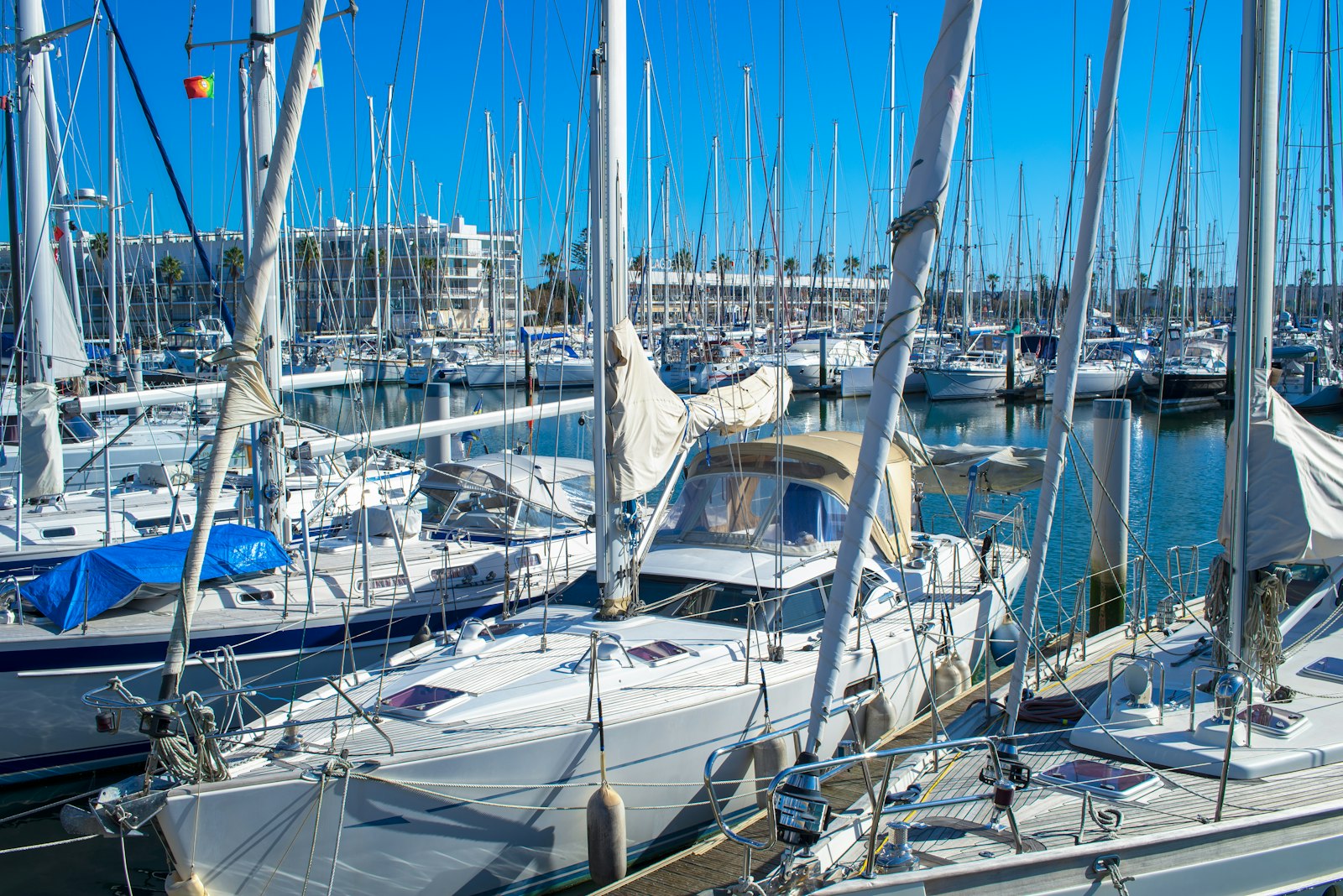 a group of sailboats in a harbor