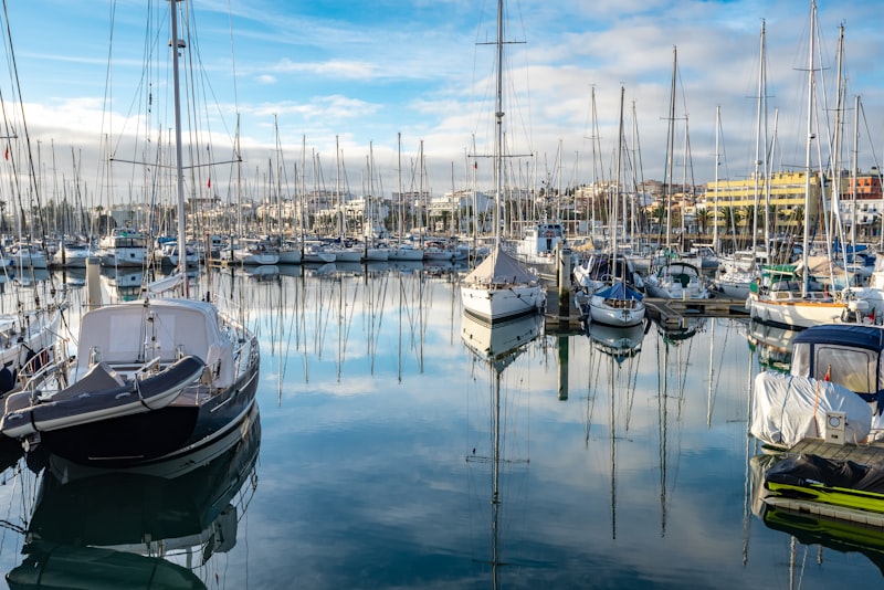 a harbor full of boats