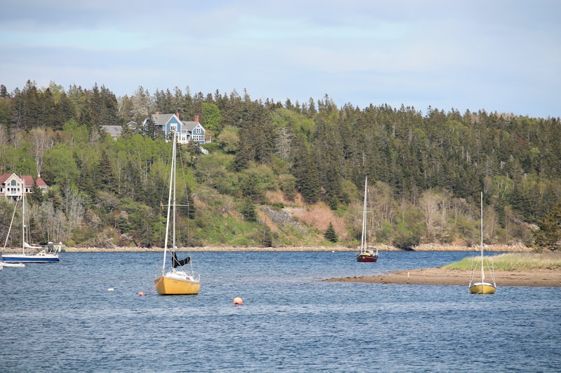 Sailboats moored in a calm bay with wooded hills.